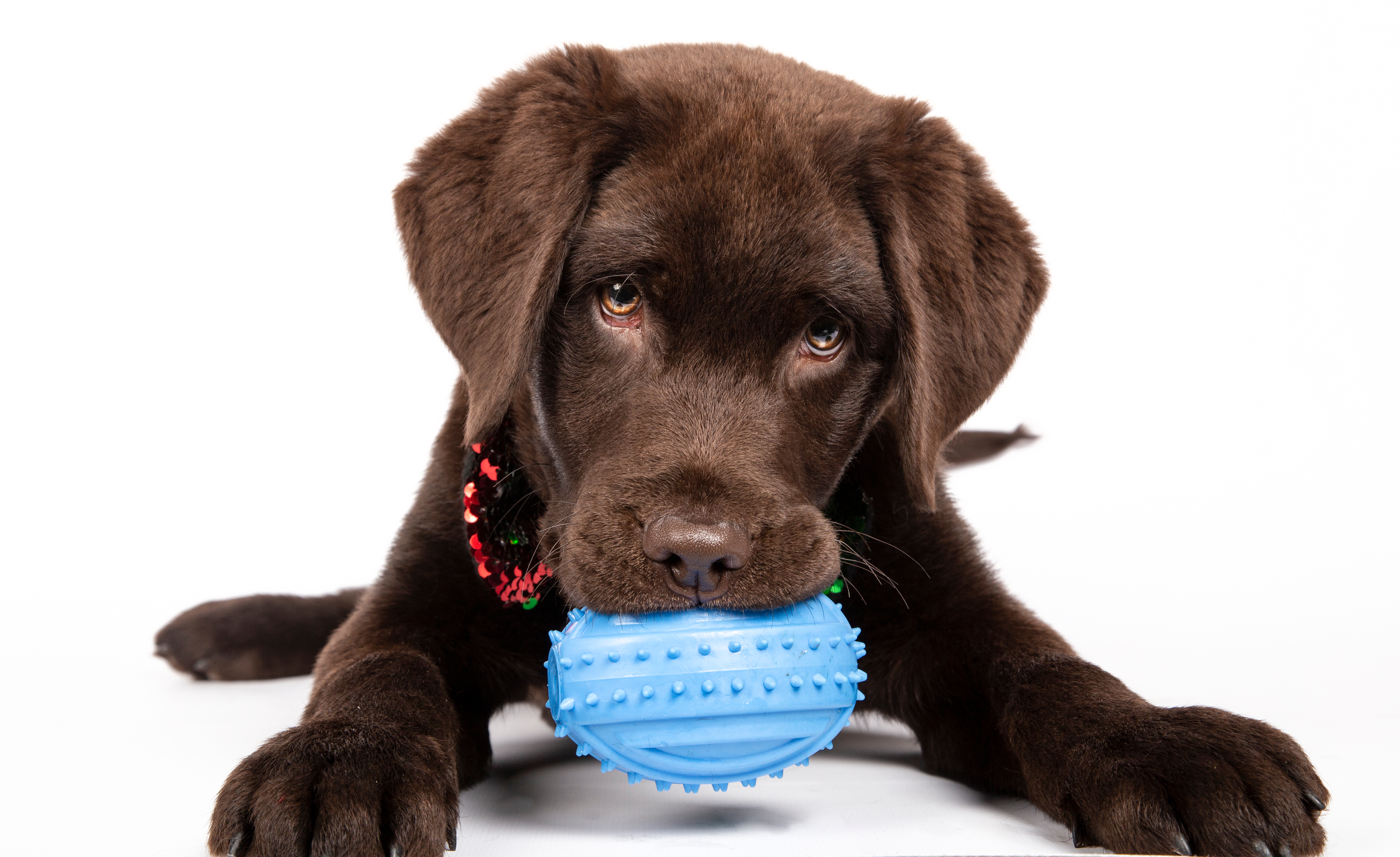 shutterstock_1665048442